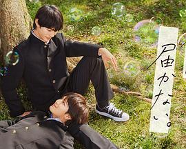 2025年天天免费资料,2025